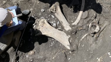 El caleidoscopio de vertebrados fósiles de Costa Rica: una historia en construcción