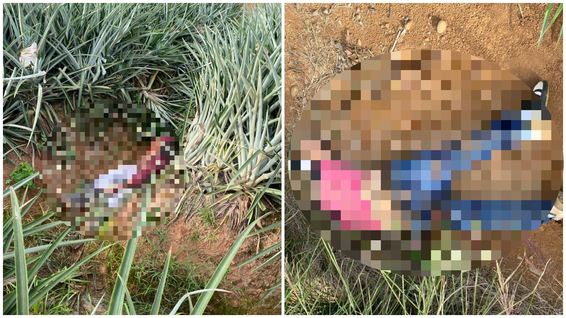 Homicidio en Los Chiles