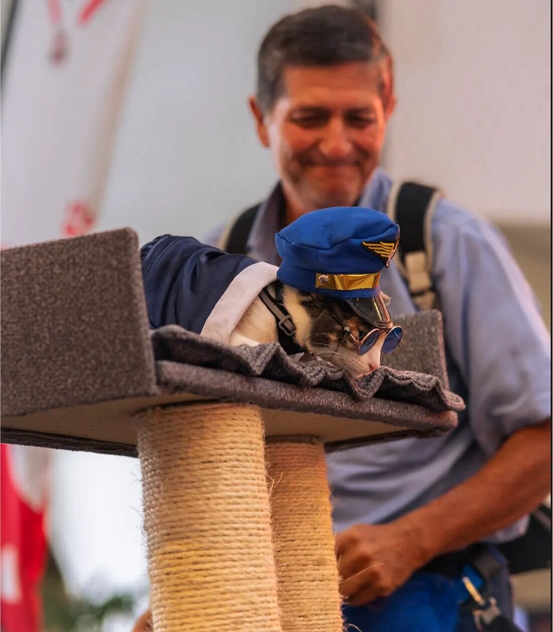 Perros mall oxígeno