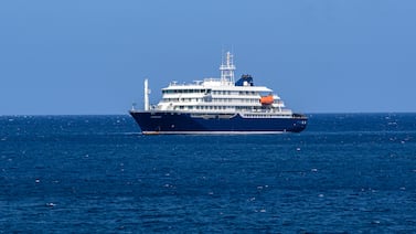 ¿Qué es el hantavirus y qué relación tiene con las muertes en un crucero? Todo lo que debe saber sobre este virus