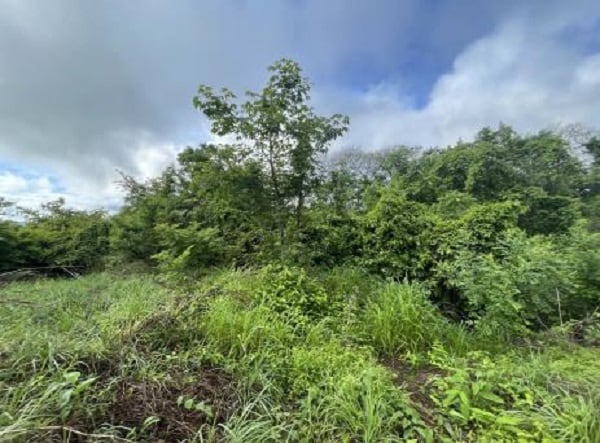 Terreno verde de 4.136 m² sin servicios ni servidumbre registrada. Requiere limpieza y accesos. Precio con descuento: ¢7,7 millones.