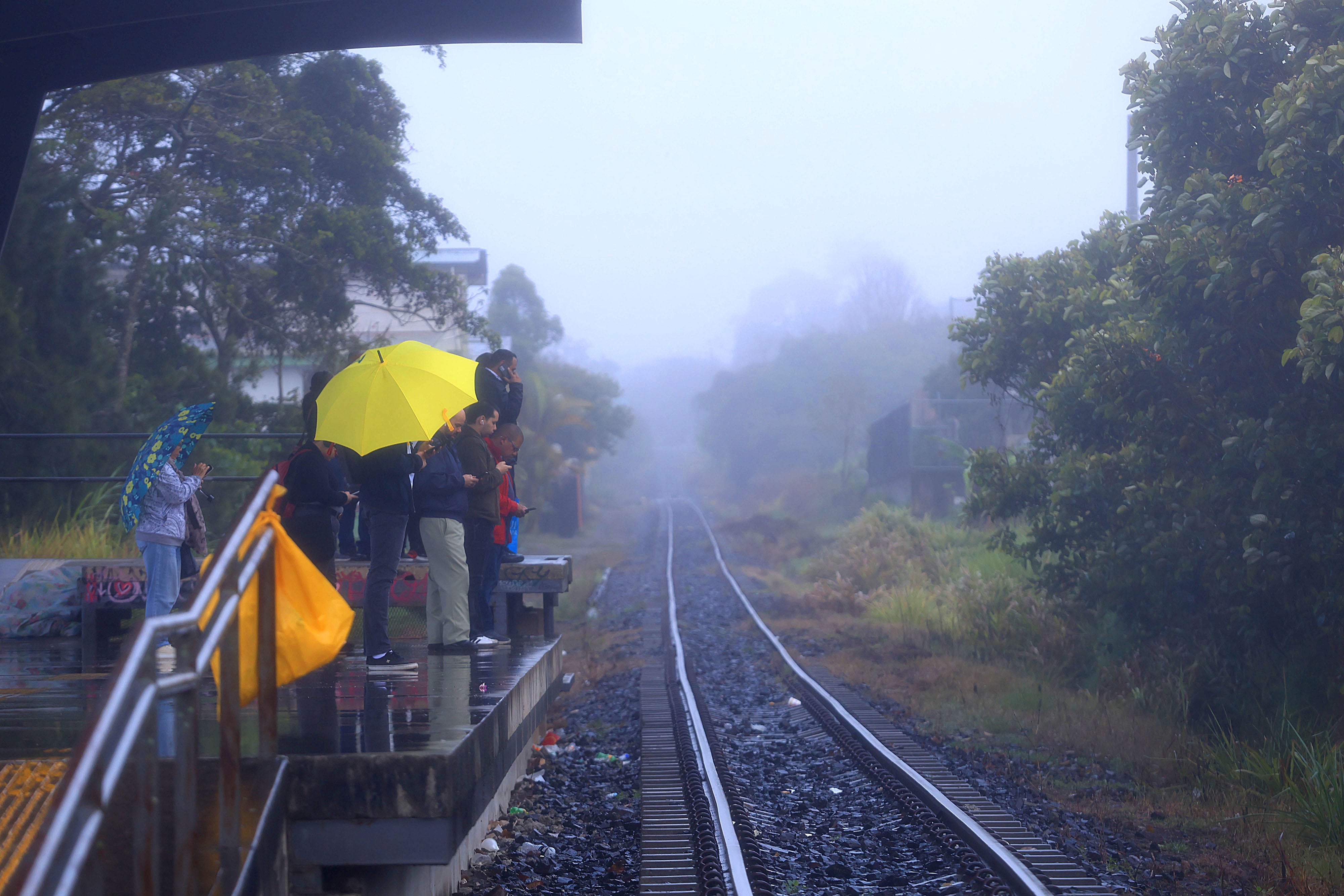 Llovizna y neblina, clima