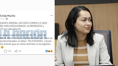 Diputada Cindy Murillo borra publicación en alusión a decisión de vecinos de Arenal: ‘Tenían caviar y siguieron comiendo M’