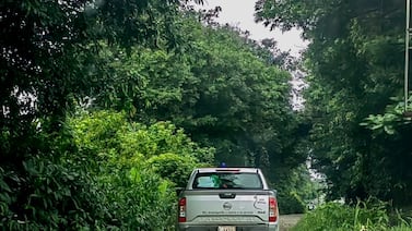 Hallan cuerpo calcinado a la orilla de una vía en zona bananera de Limón