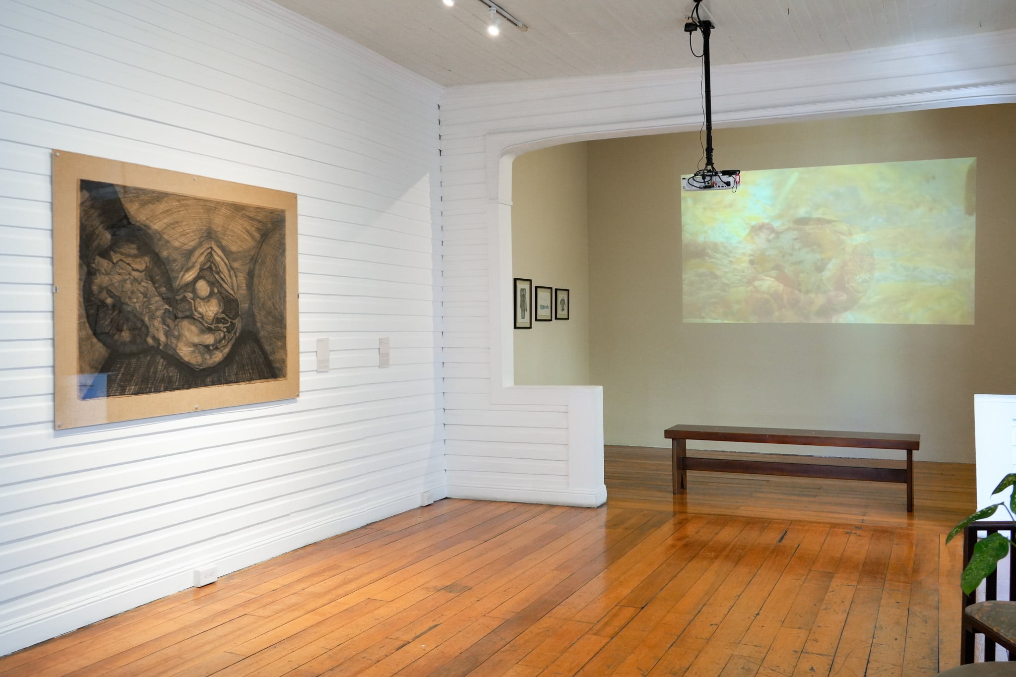 La exposición de Verónica Navas en Teorética incluye varios formatos y técnicas, como el video y el dibujo.