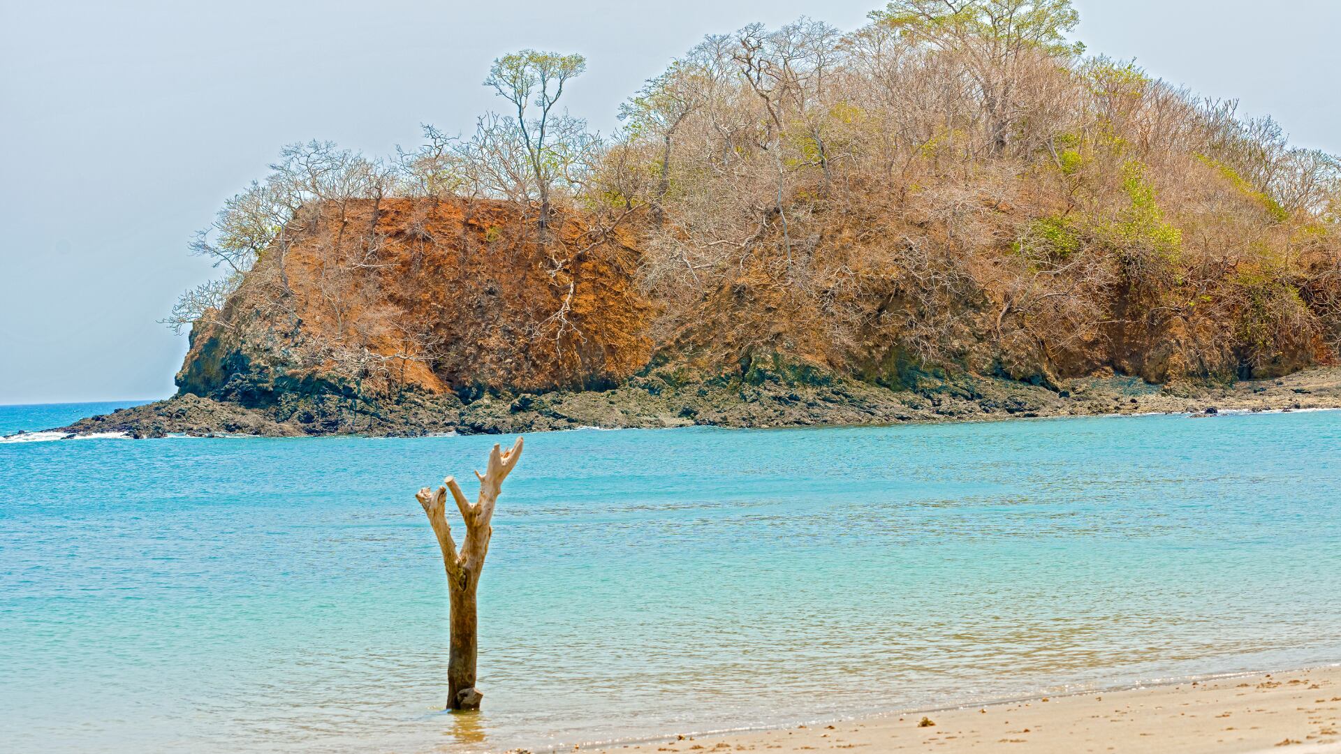 Playa Venao en Panamá ofrece olas constantes, ambiente relajado y una mezcla de surf, naturaleza y vida bohemia frente al Pacífico.