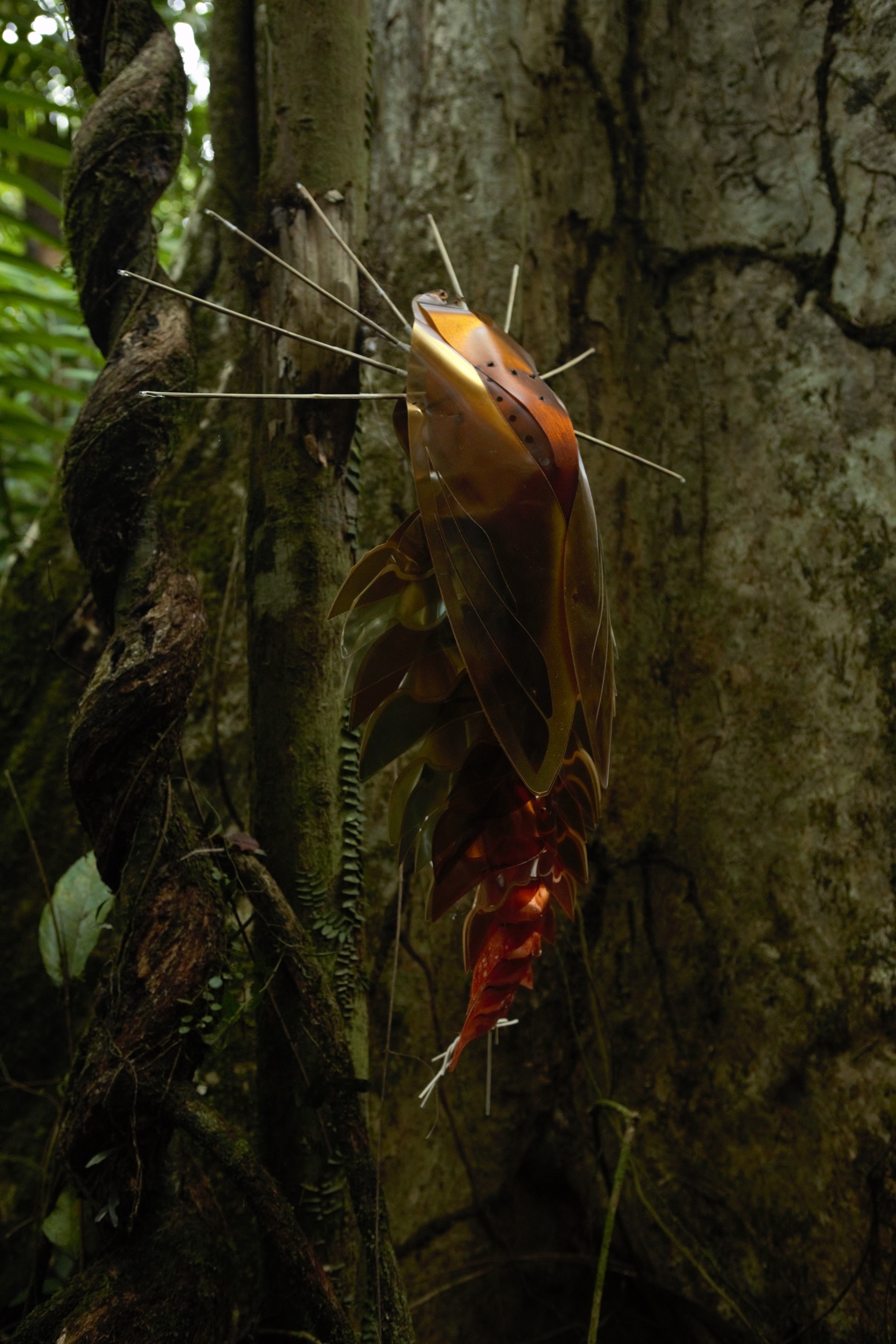 Escultura de Jonathan Torres instalada en un bosque de Sarapiquí.