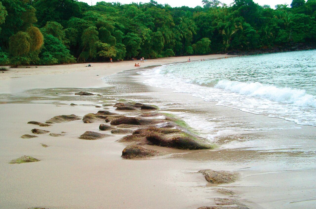 Vista de una sección del Parque Nacional Manuel Antonio (Quepos, Puntarenas) tomadas hace unas semanas. Fotografía: Minae para LN