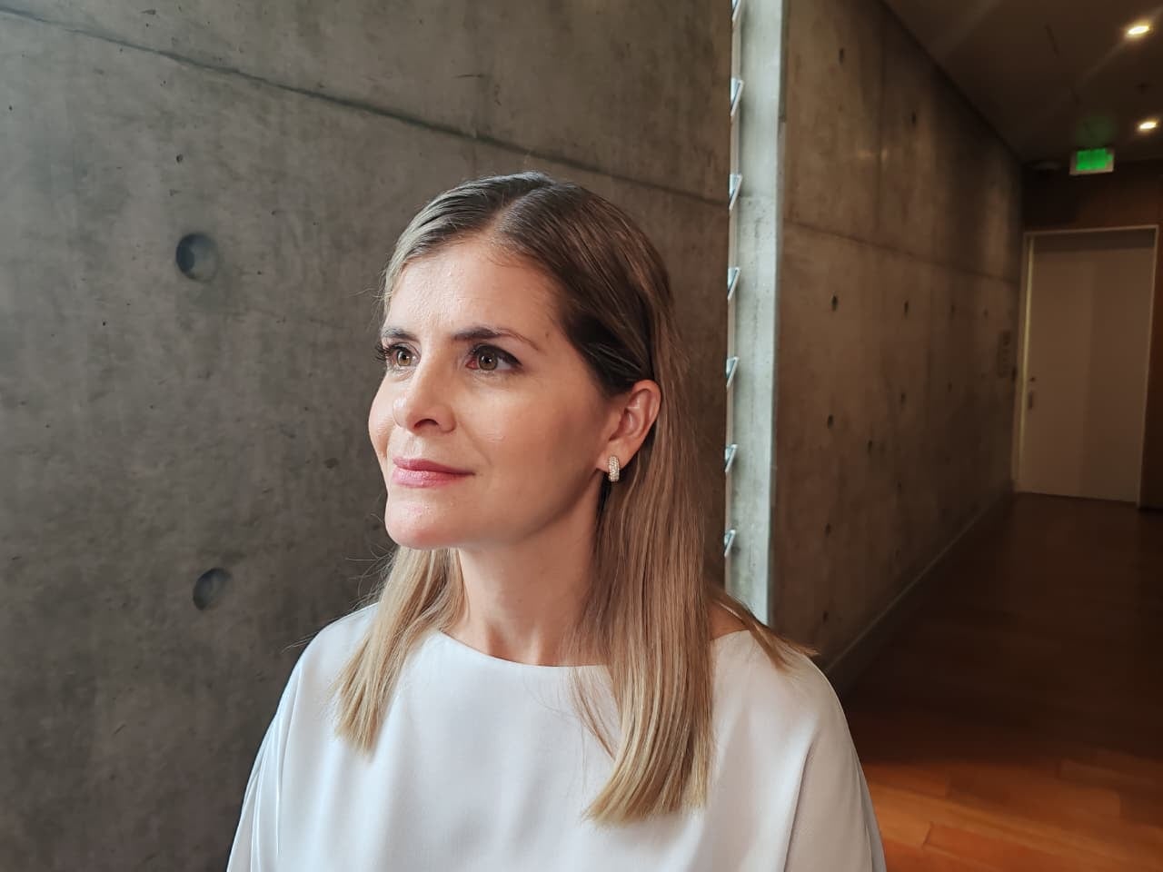 Laura Fernández reunión fracción chavista