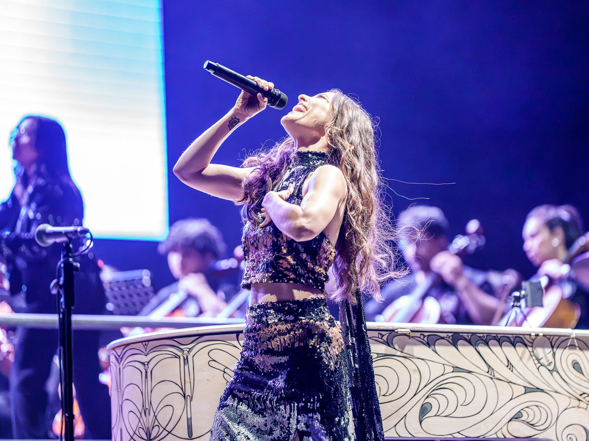Concierto de los 15 años de la Fundación Sifais en Parque Viva