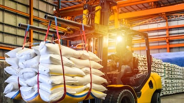 FAO proyecta una producción mundial récord de cereales en 2025