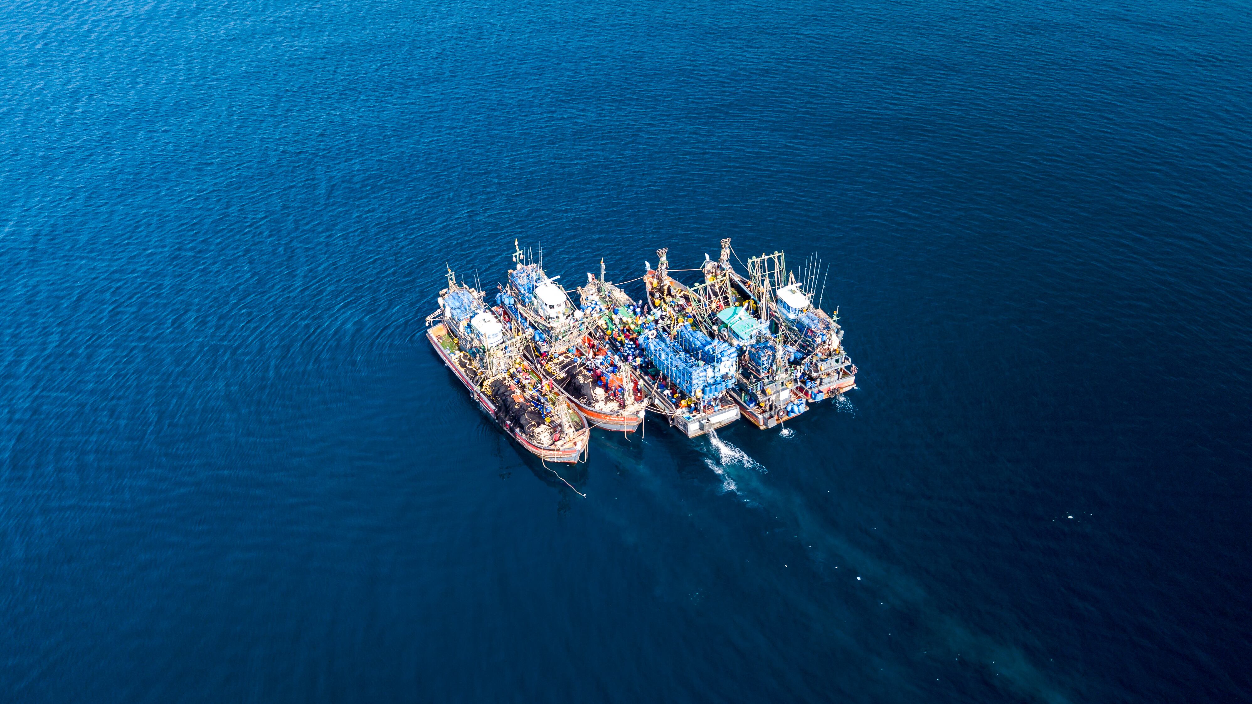 Barcos pesqueros ilegales en altamar, pesca ilegal