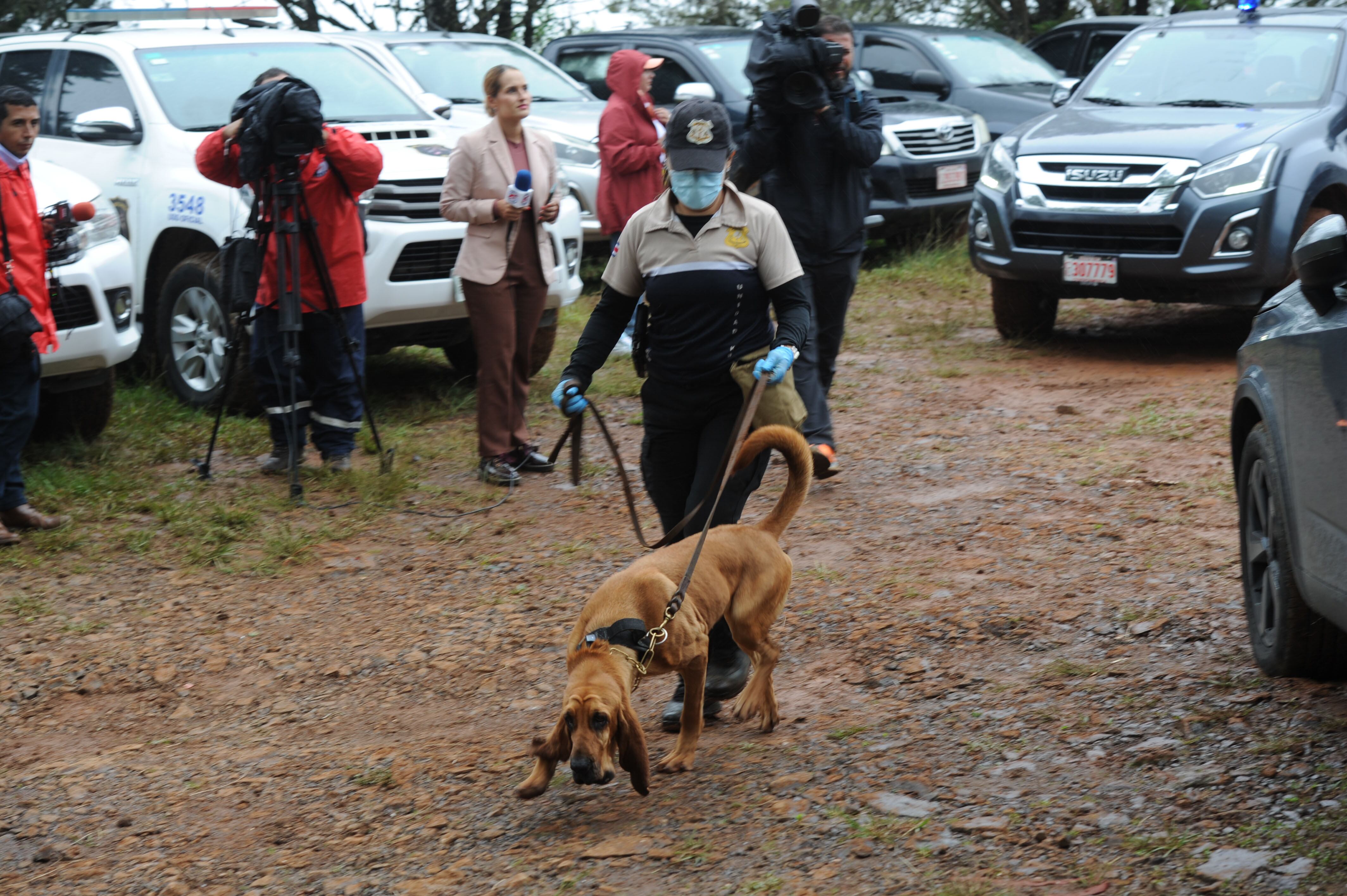 14/06/204, Dota, búsqueda de Sra perdida Fotografía: Marvin Caravaca.