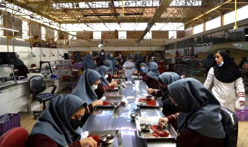 Las mujeres, que aquí trabajan en una fábrica de azafrán, no son consideradas las sustentadoras principales de la familia, según la ley iraní