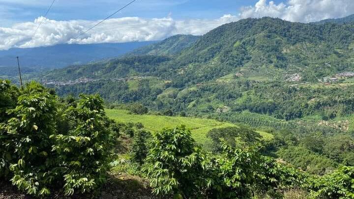 La caminata tendrá lugar el próximo miércoles 19 de junio.