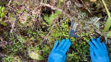 Hallan celular de mochilera belga desaparecida en Tasmania y reactivan búsqueda dos años después