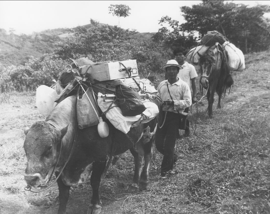 Saturnino Ortiz Figueroa con su hijo, Jaime Ortiz Ortiz, durante el rodaje de Wáca, la tierra de los Bribríes (1979).