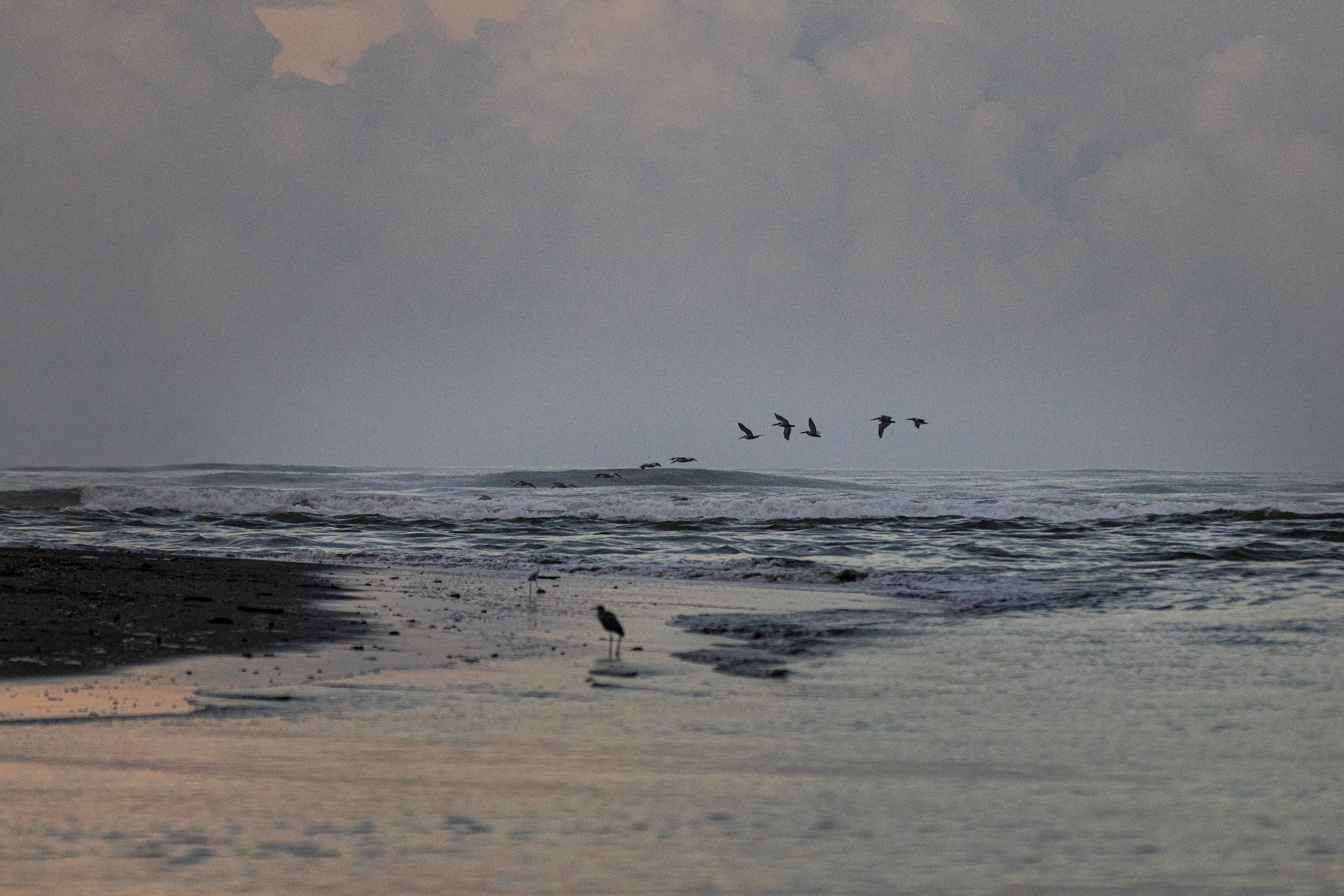 Parque Nacional Corcovado