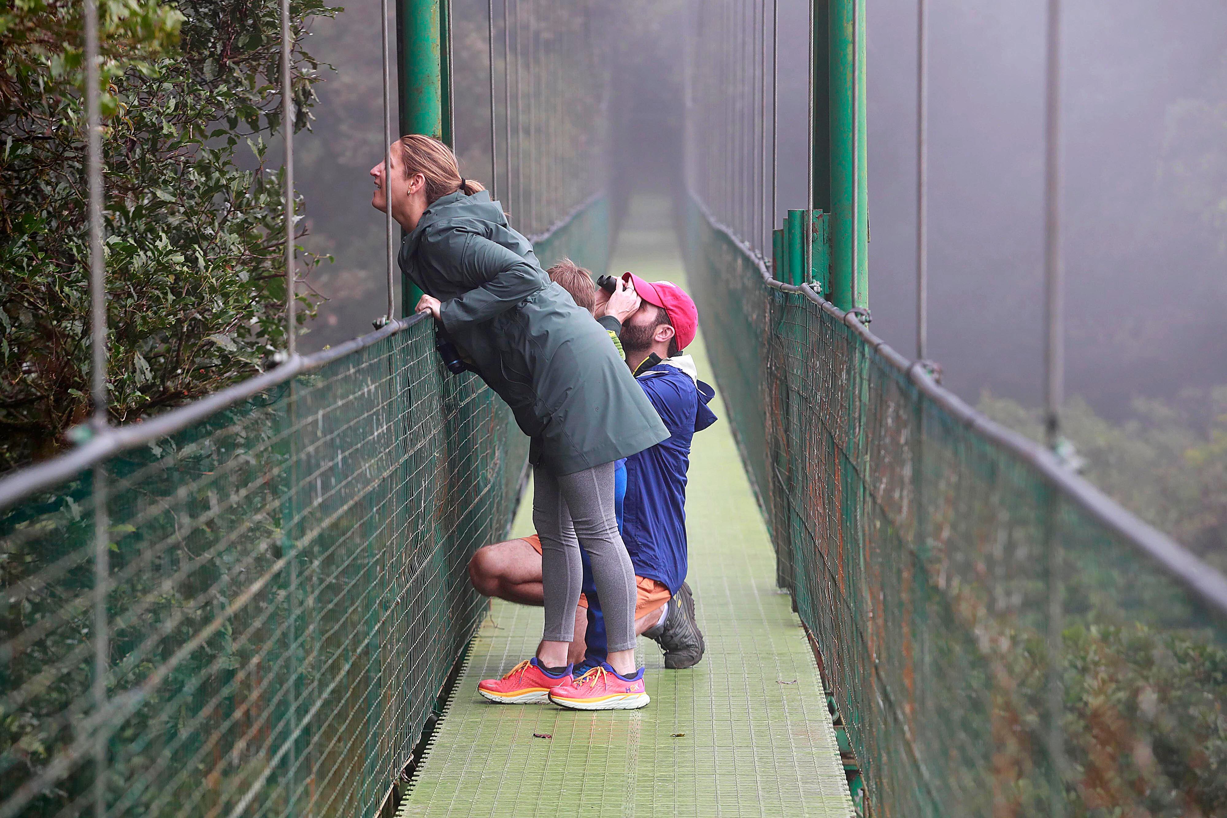 Monteverde. Treetopia, empresa familiar, liderada por Rodrigo Valverde Sánchez y sus cuatro hijos, se ha convertido en pilar en la industria del turismo de aventura en la zona. Cuenta con seis puentes colgantes en las copas de los árboles con fines ecoturísticos, pero también ofrece un teleférico a sus visitantes.