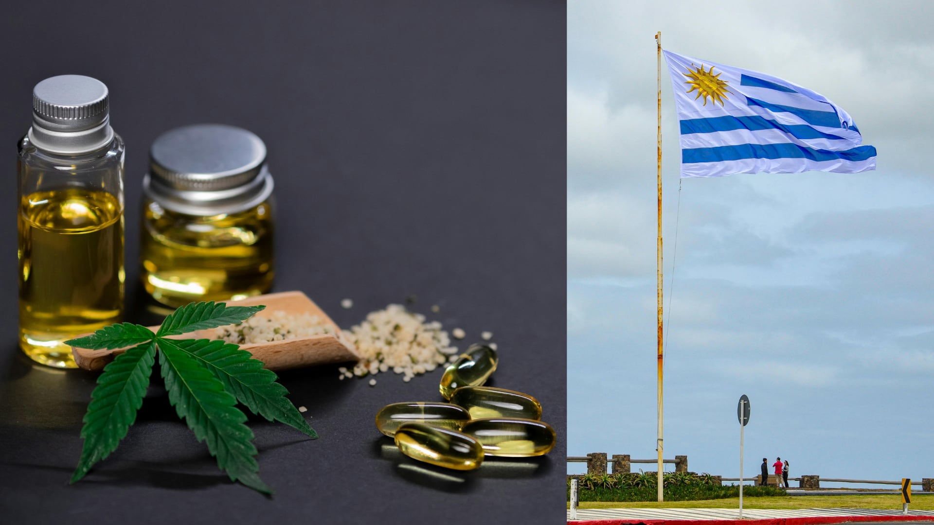 Ensayo clínico en Uruguay evalúa cannabis medicinal como alternativa para reducir opioides en pacientes con dolor crónico osteoarticular.