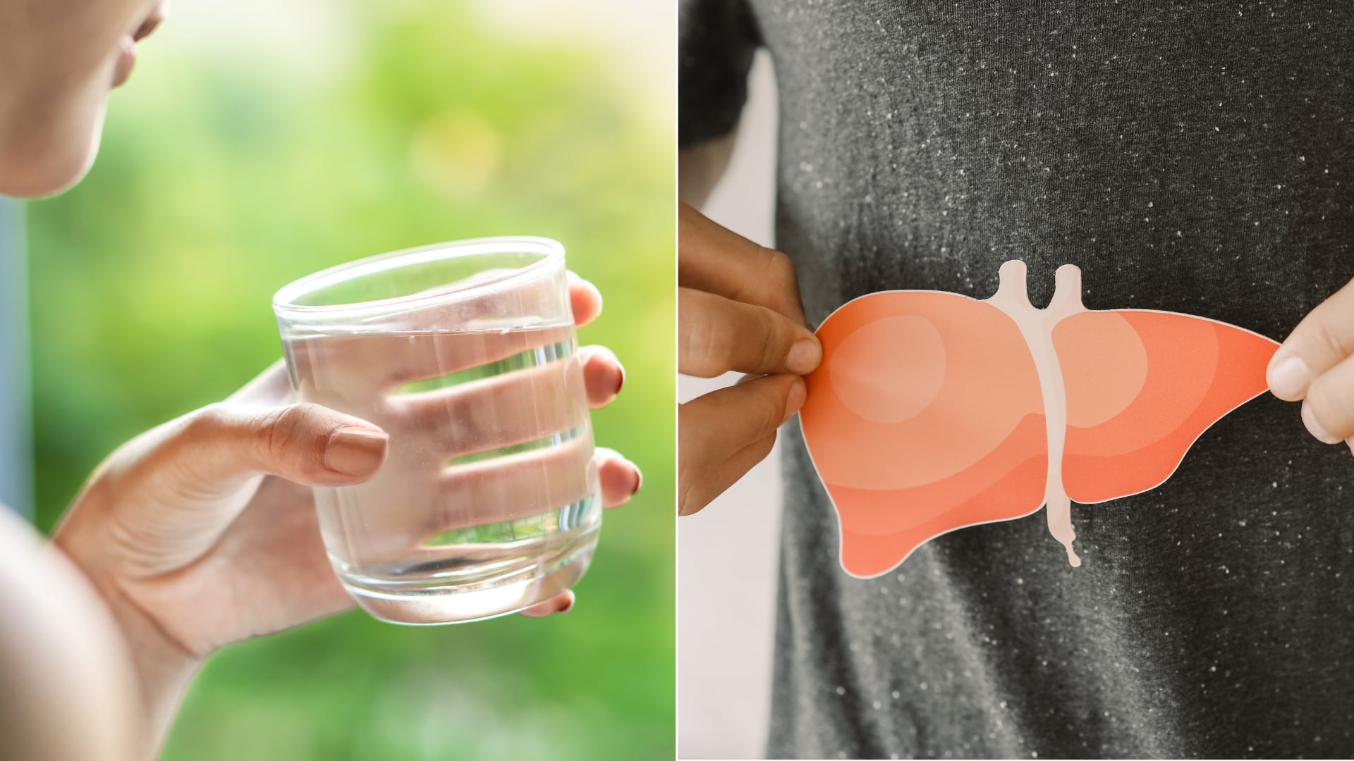 El hígado graso puede mejorar con buena hidratación. Se recomienda consumir entre 1,5 y 2 litros de agua al día.