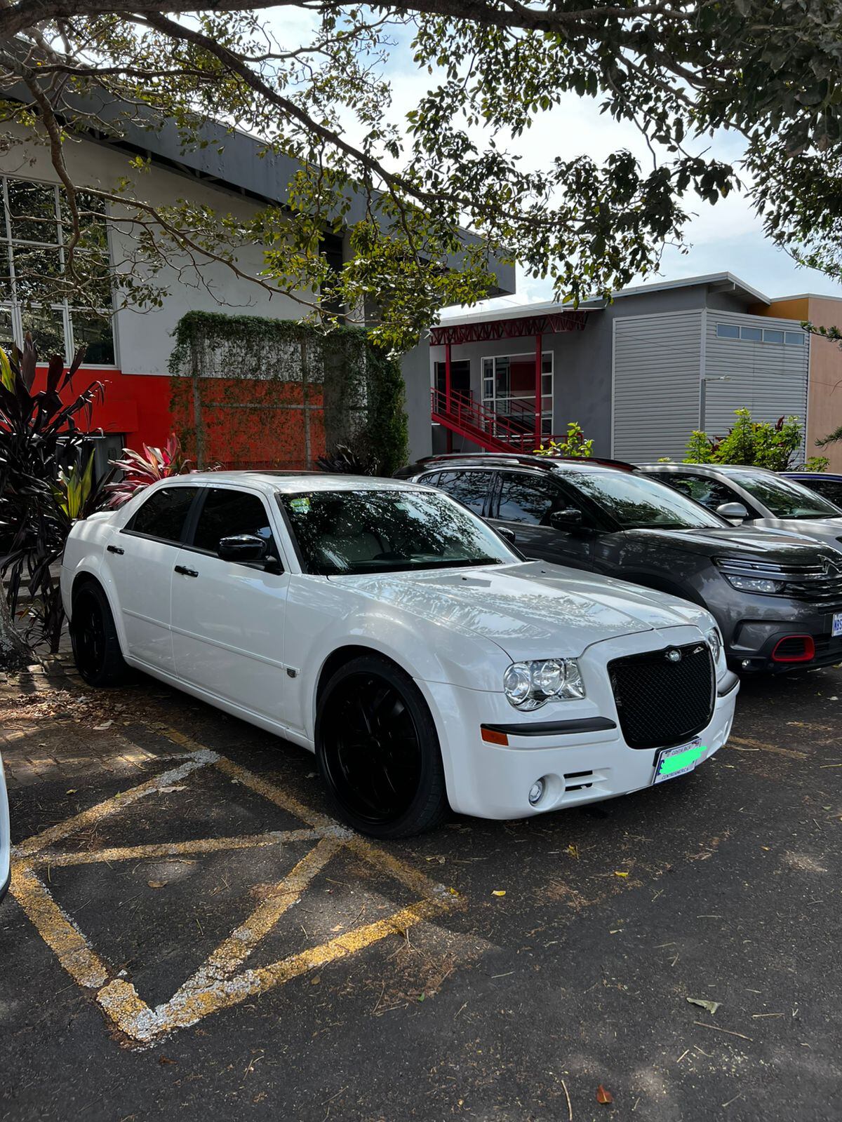 Auto confirmado para la exhibición en solidaridad de la familia de Leandro Mangas