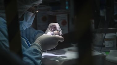 Incertidumbre causa frenazo al empleo en zonas francas