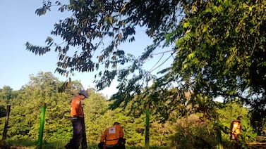 Joven cae en guindo de 80 metros en Horquetas de Sarapiquí