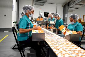 “Prevení hoy, evitá el dolor mañana”: un llamado a cuidar la salud en nuestros trabajos