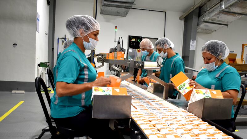 “Prevení hoy, evitá el dolor mañana”: un llamado a cuidar la salud en nuestros trabajos