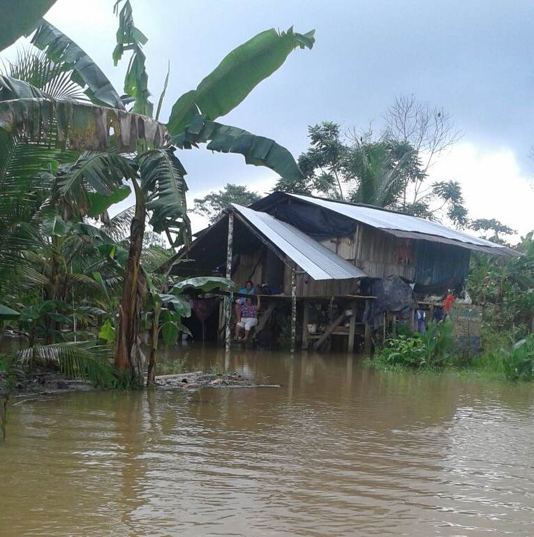 En Guácimo las fuertes lluvias generaron la crecida del río Jiménez.