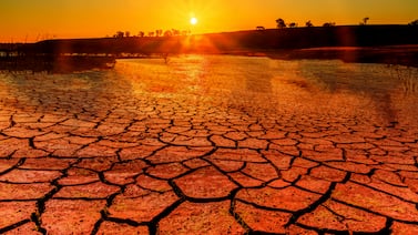 Nuevo informe científico alerta sobre aceleración del calentamiento global y debilitamiento de sumideros de carbono