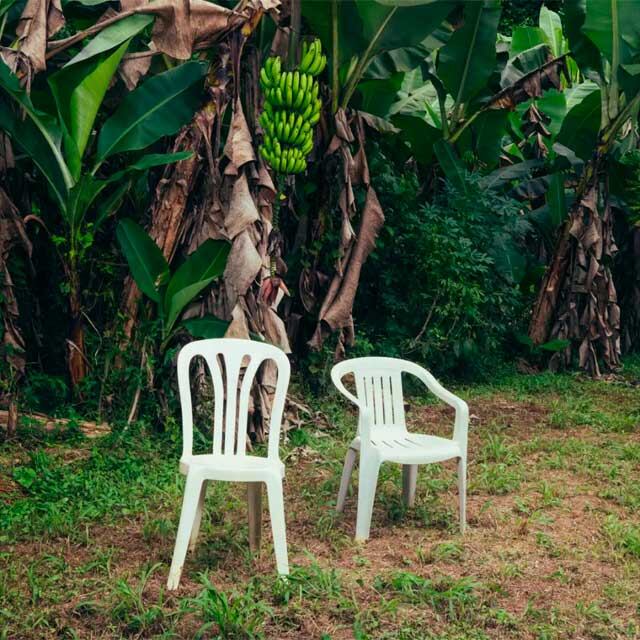 Portada del disco 'DeBÍ TiRAR MáS FOToS', lanzado el 5 de enero de 2025.