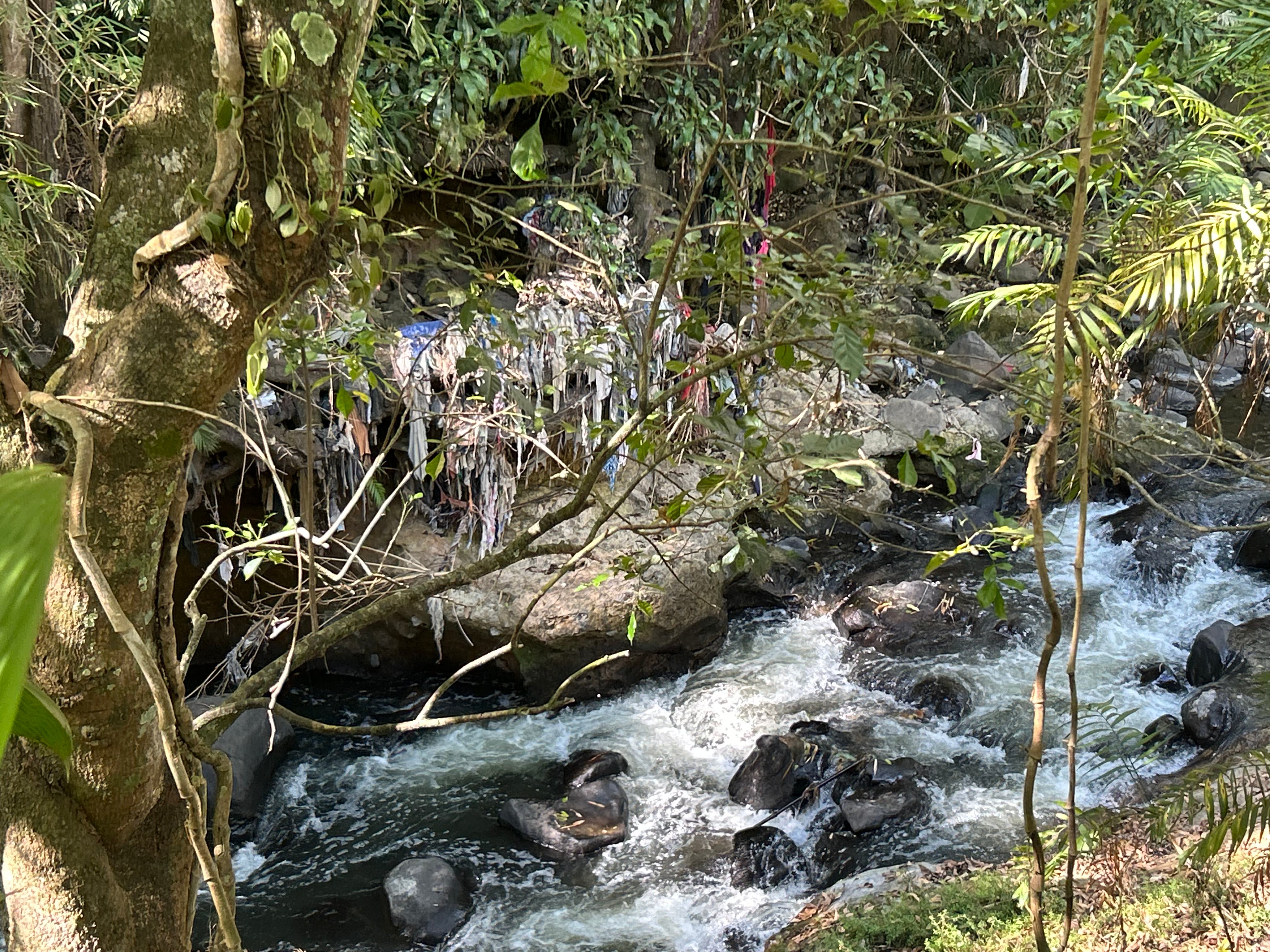 Simón Bolívar EXCLUSIVO VIVA