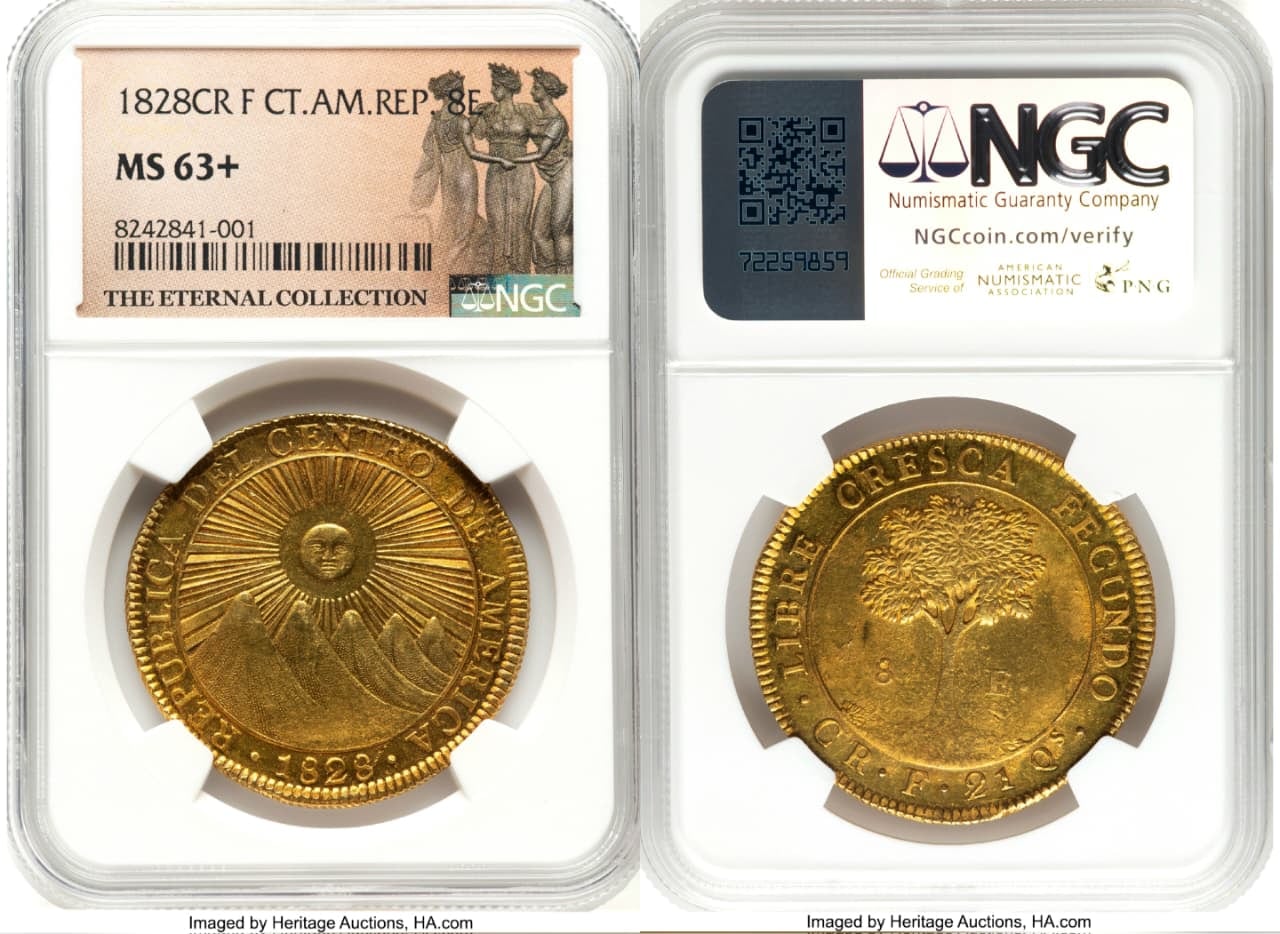 Detalles que certifican la moneda de 8 escudos de oro acuñada en 1828 y que fue vendida el 27 de agosto de 2025 por $240.000 en una subasta. Cuenta con el parámetro MS 63, la mayor calificación de su estado de conservación que esperan los coleccionistas.