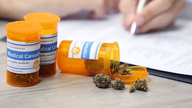 Proyecto habilitaría nuevas licencias para venta de cannabis medicinal