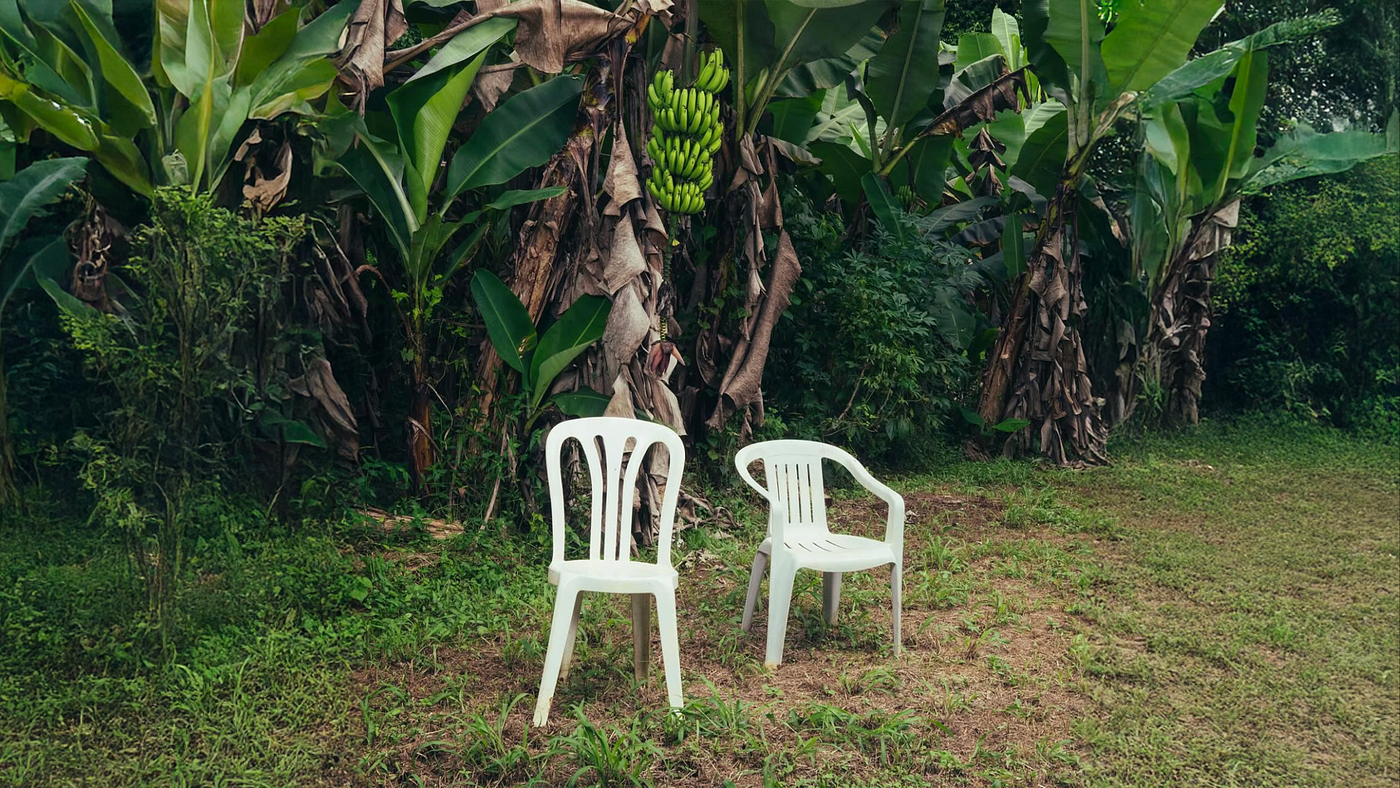 Portada del álbum "Debí tirar más fotos", de Bad Bunny