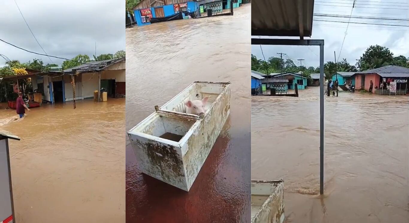 Combo de imágenes de la afectación este viernes en la comunidad de Betania de San Rafael de Guatuso por las lluvias y desbordamiento de los ríos. Fotografía: