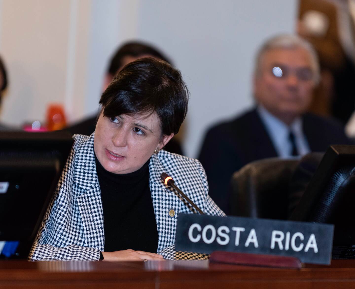 Embajadora Monserrat Solano en sesión especial sobre Nicaragua en OEA.Date: January 11, 2019
Place: Washington DC
Credit: Juan Manuel Herrera/OAS