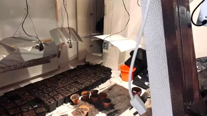 En otros ambientes de la casa había plantaciones en macetas.