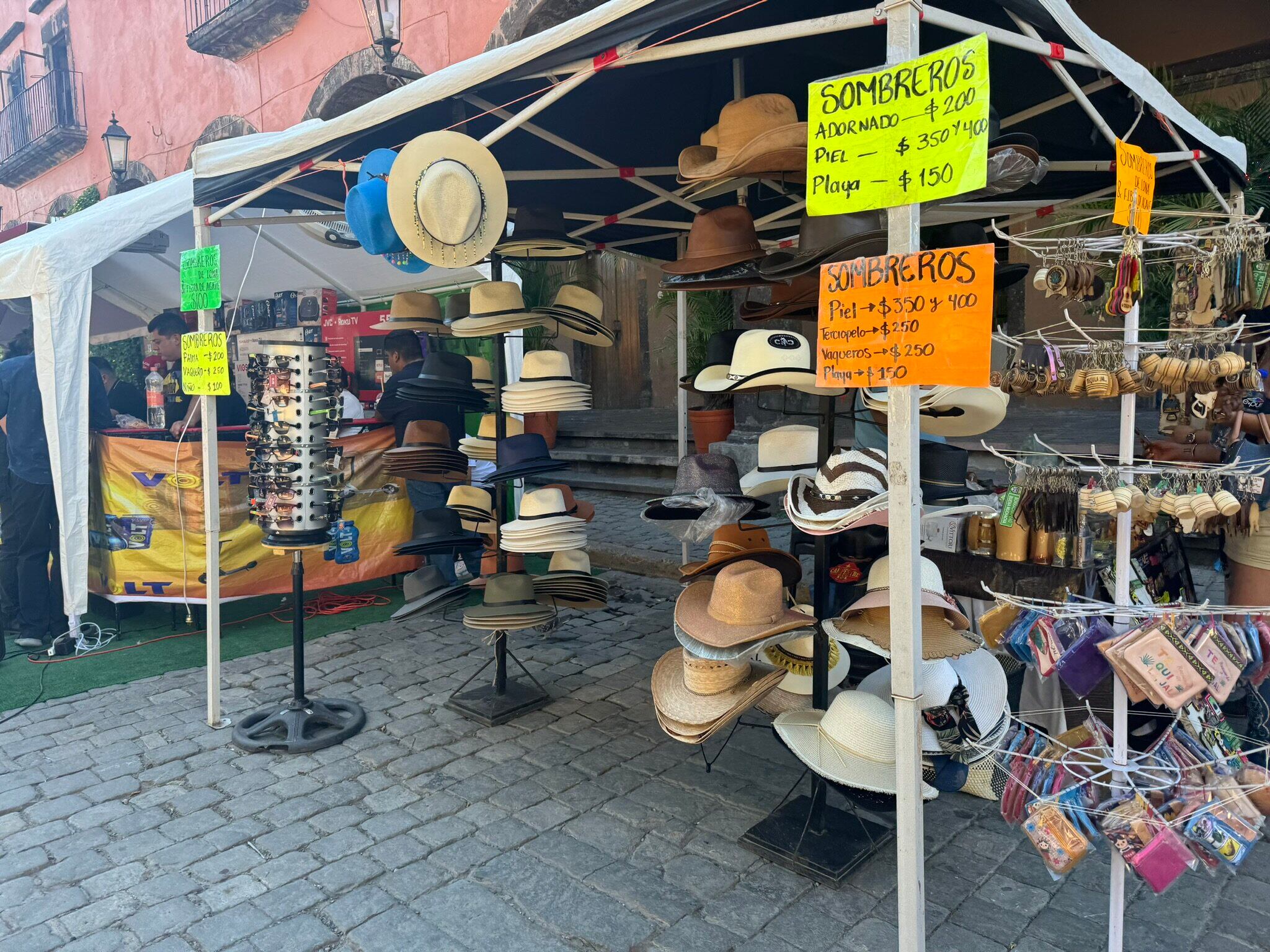 Planta con pinta de peligrosa es la minita de oro del tequila mexicano.