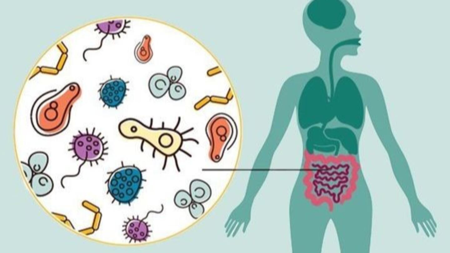 Flora intestinal: Síntomas de daño y cómo recuperarla, según una ...