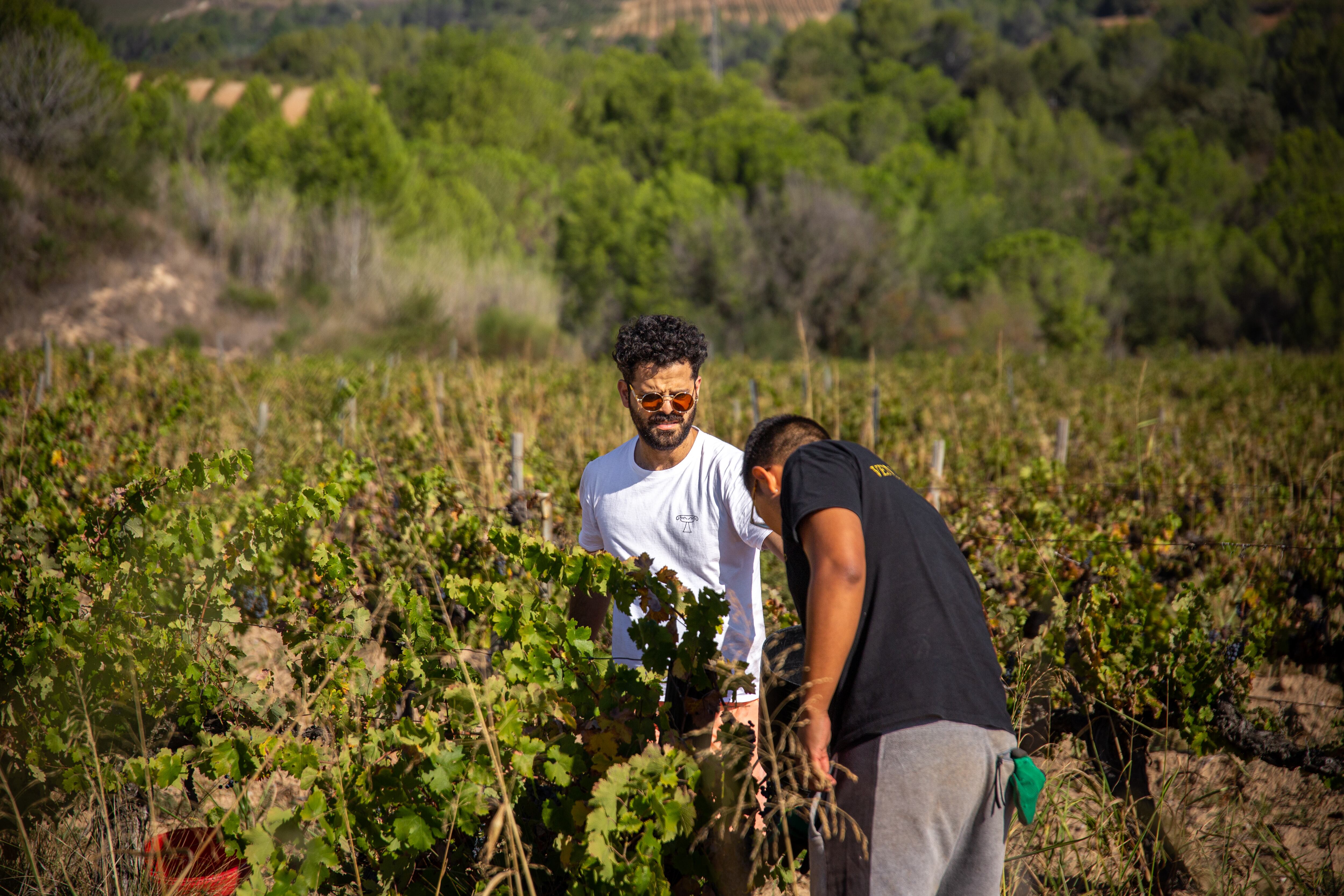 Erick Sandoval, chef y enólogo tico radicado en España