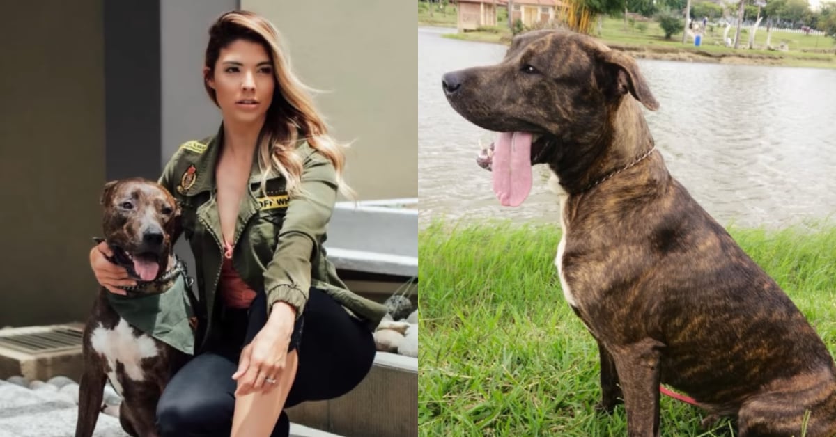 Marianela Valverde se despidió con profunda tristeza de su perrito Athos.