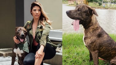 Marianela Valverde cuenta entre lágrimas cómo ha sido perder a su ‘compañero fiel’