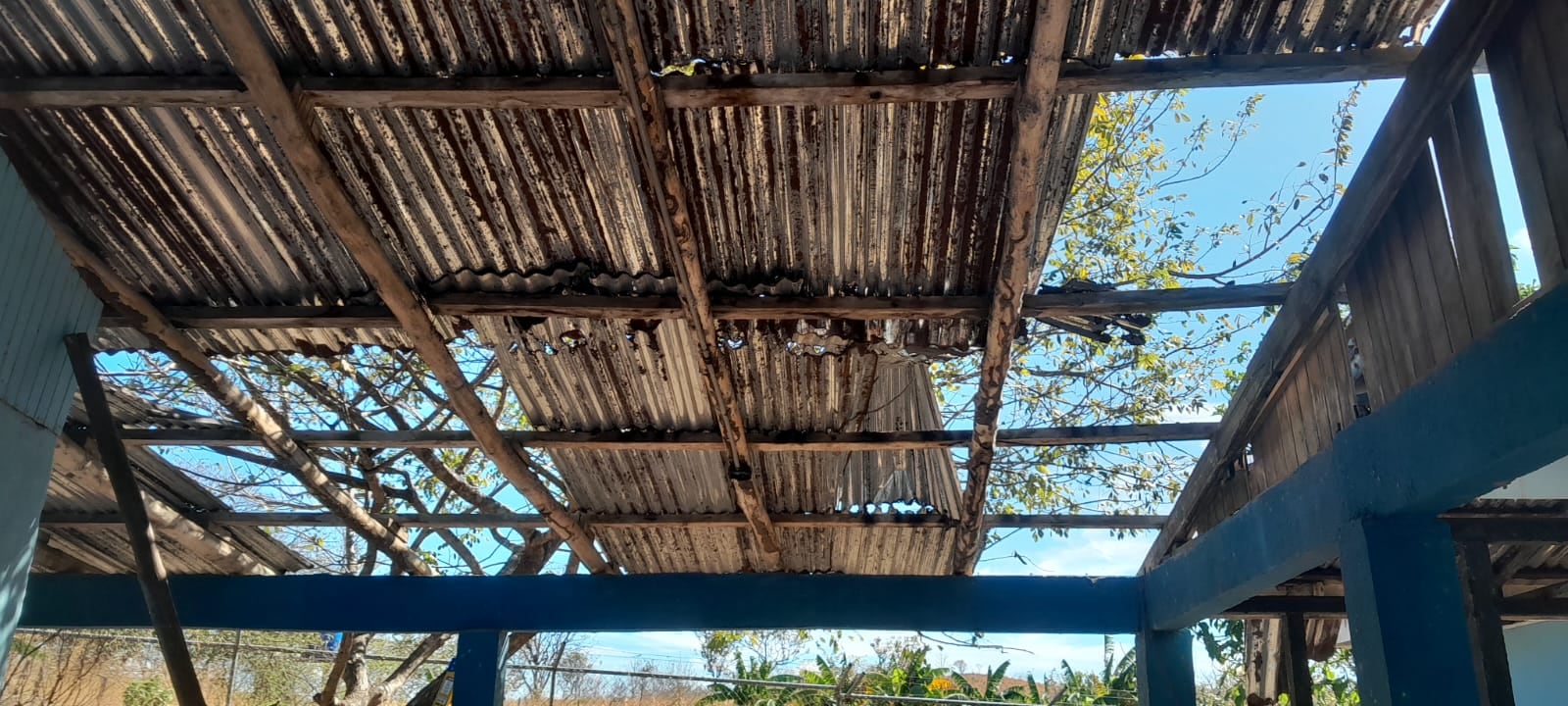 Escuela de playa Lagarto