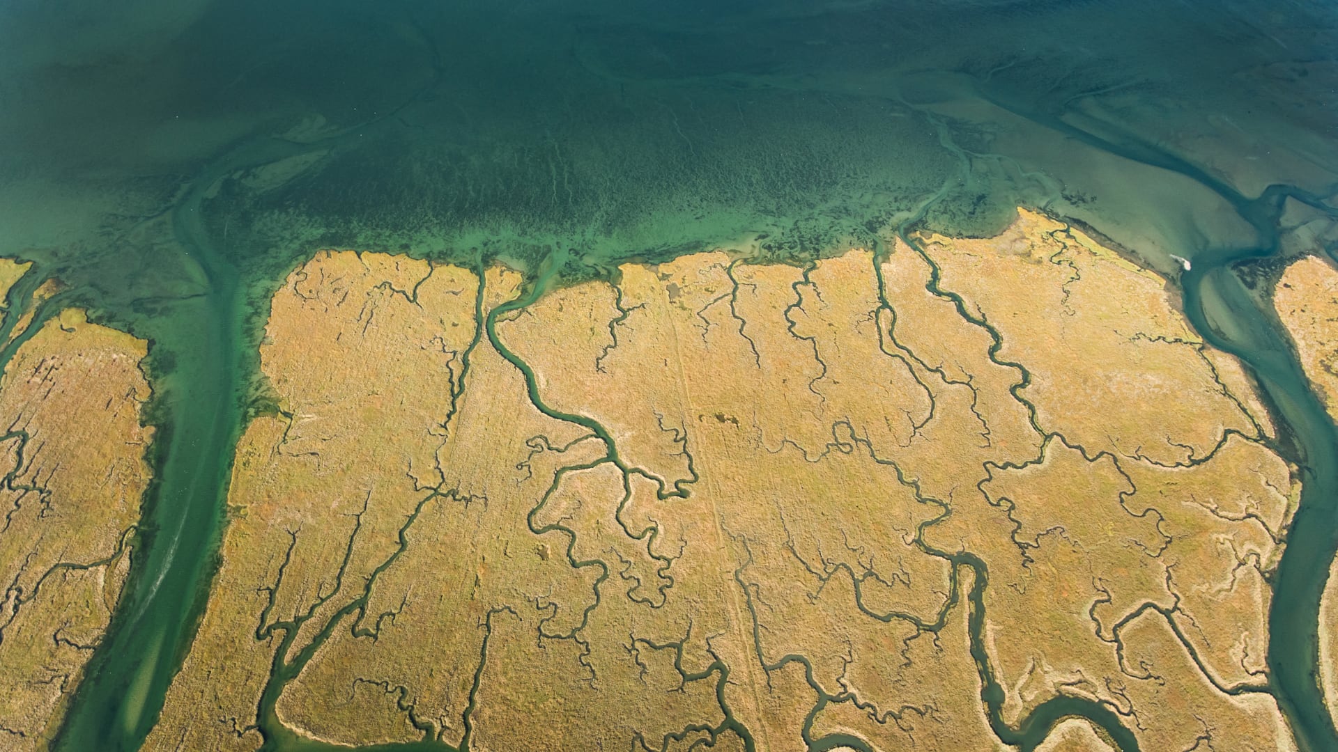 Satélites detectan subsidencia generalizada que supera el alza marina en numerosos deltas.