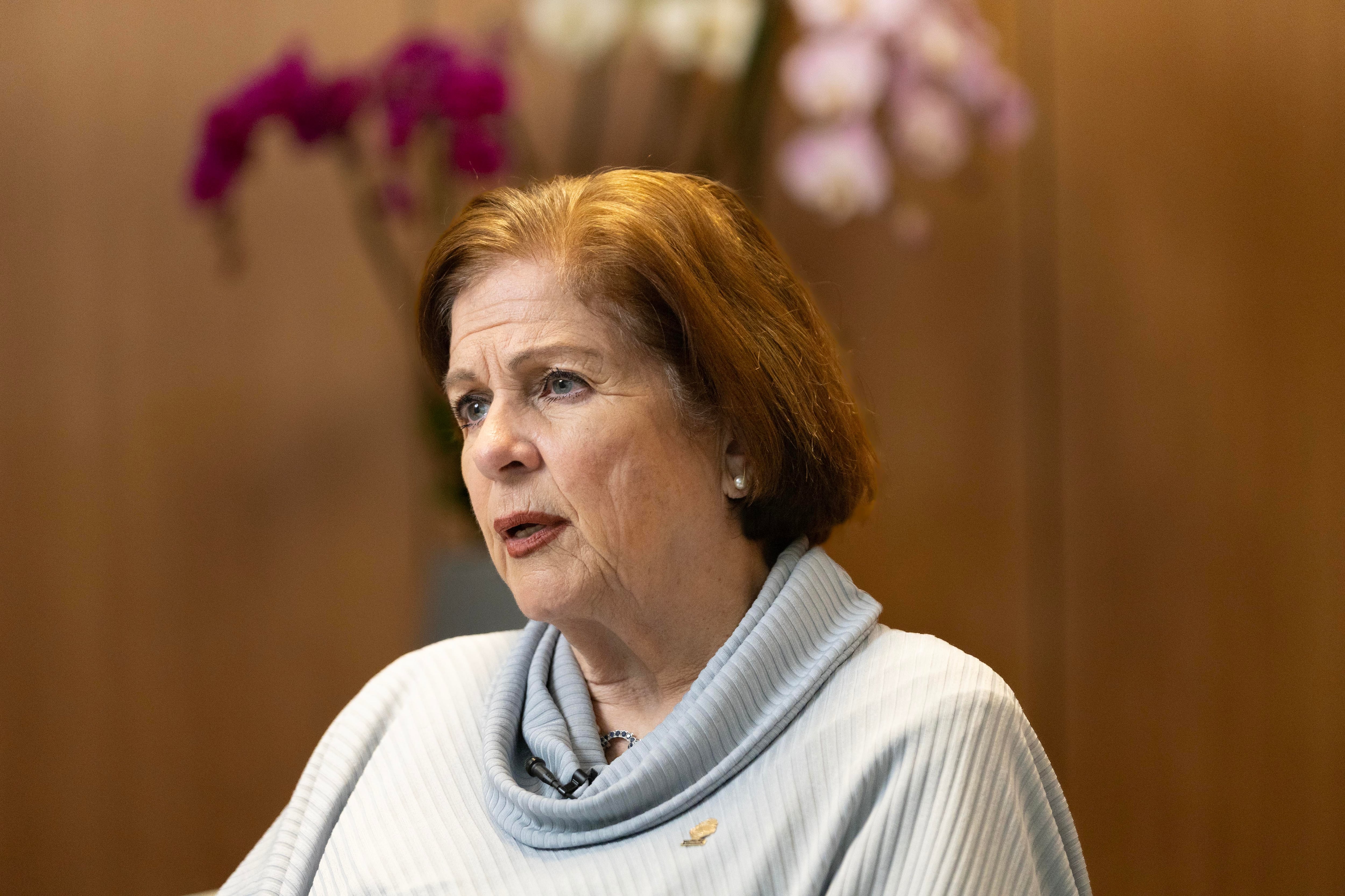 Diputada Pilar Cisneros