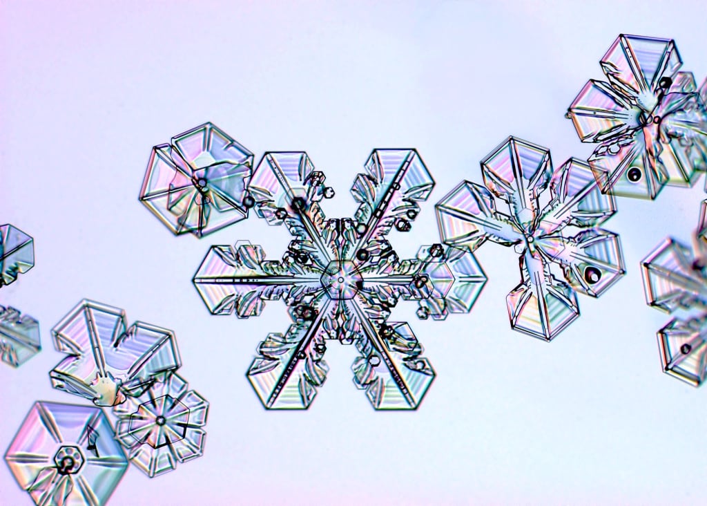 Cristales de nieve vistos por un microscopio.