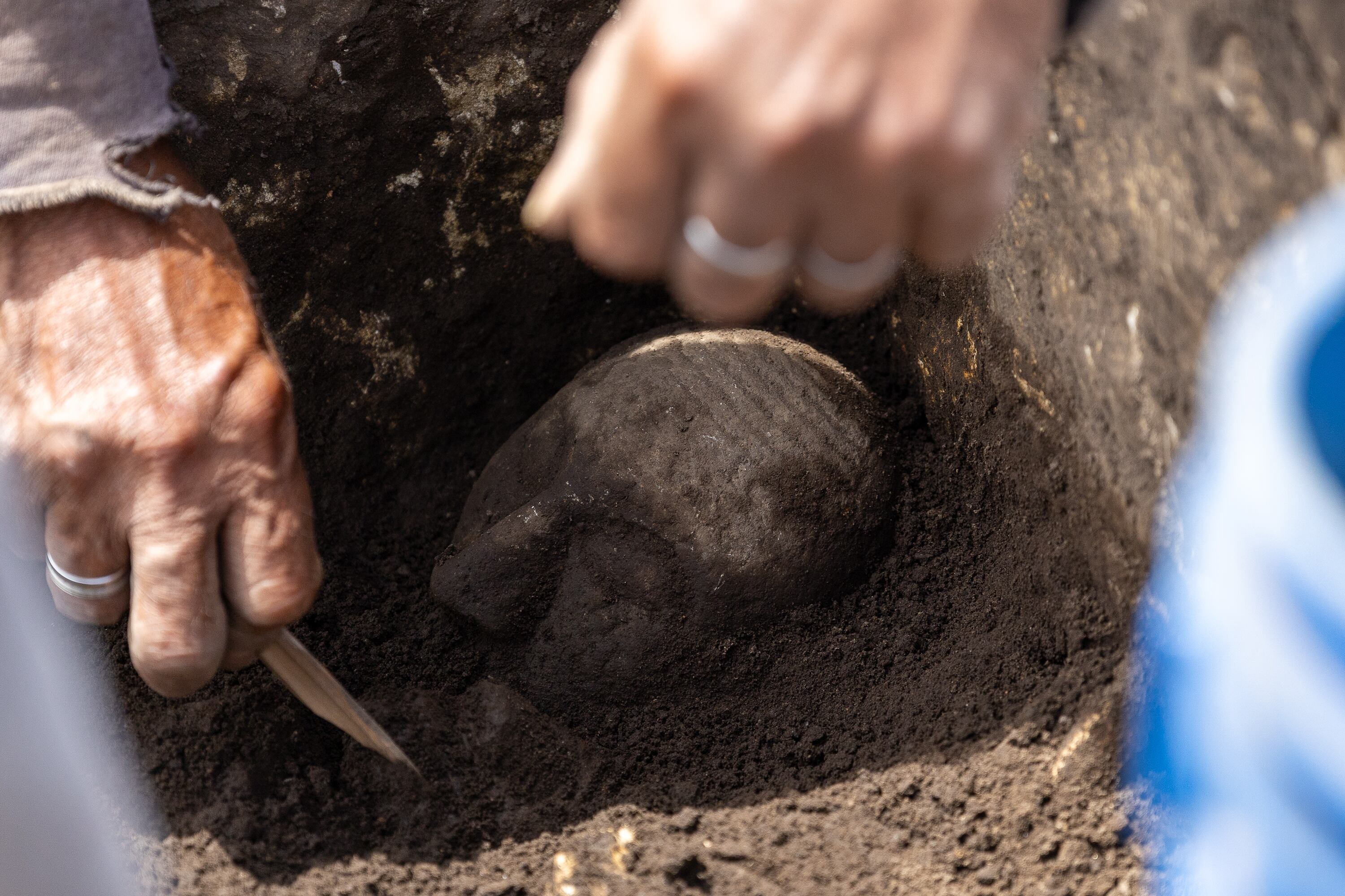 Detalle de una excavación arqueológica en la que se ve una calavera humana.